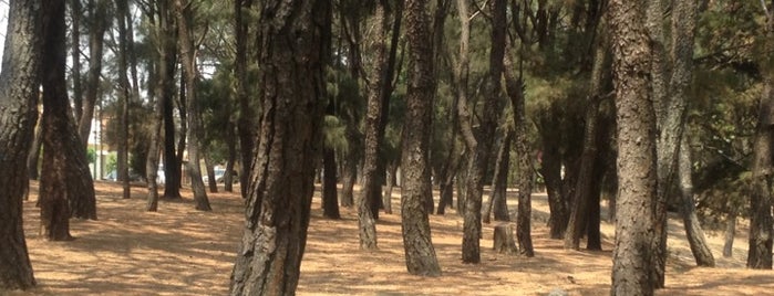 Parque Eca Do Queiros is one of Locais curtidos por Jhalyv.
