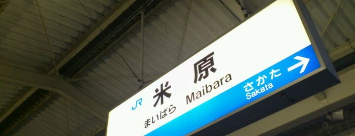 Maibara Station is one of 東海道本線(JR東海).