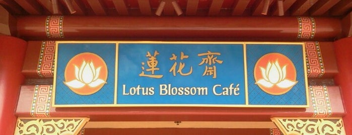 Lotus Blossom Café is one of Ebgod!.