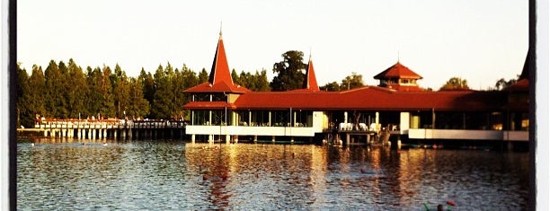 Hévízi-tó is one of Balatonmeer.