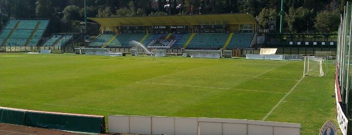 Stadio Artemio Franchi is one of italy.