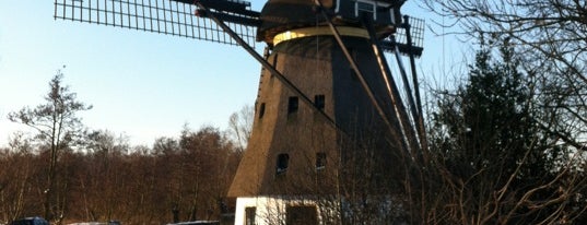 Molen De Zwarte Ruiter is one of Dutch Mills - North 1/2.