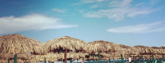 Playa Miramar is one of Tampico, Mad & Alt.