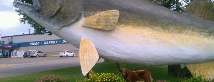 Willy The Walleye is one of World's Largest ____ in the US.