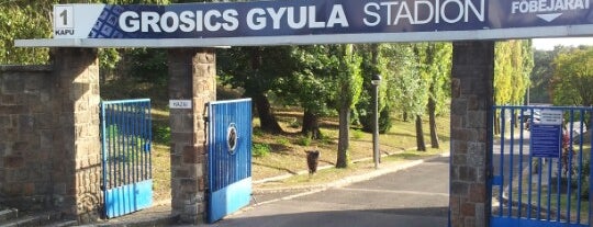 Grosics Gyula Stadion is one of Stadionok.