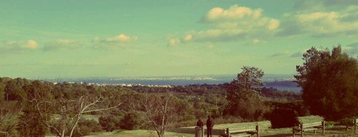 Parque Florestal de Monsanto is one of Jardins e Parques de Lisboa.