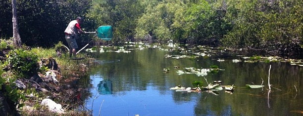 Эверглейдс is one of National Recreation Areas.