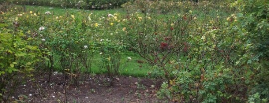 Preston Park Rose Garden is one of London.