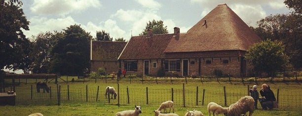 Schapenboerderij Rozenhout is one of Texel.