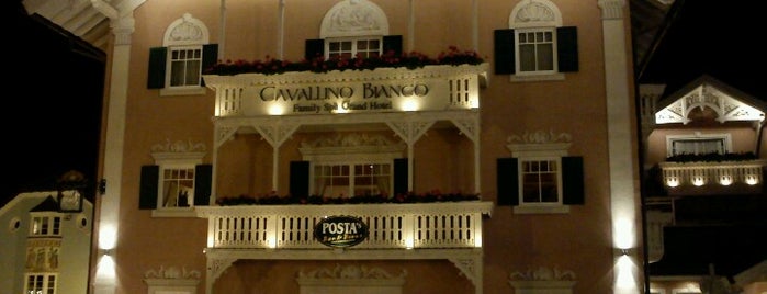 Cavallino Bianco Family Spa Grand Hotel is one of 🔵 Salvatore : понравившиеся места.