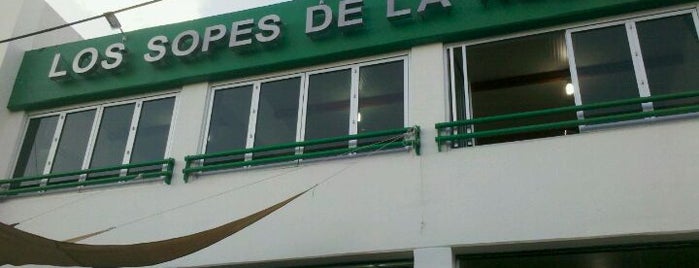Los Sopes De La Nueve is one of Locais curtidos por Stephania.
