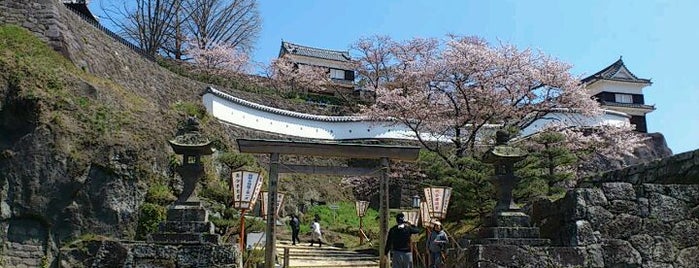 Usuki Castle Ruins is one of 日本の歴史公園100選 西日本.