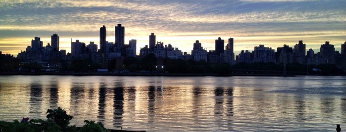 Socrates Sculpture Park is one of The Best Running Routes In NYC.