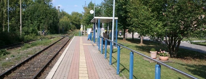 Bahnhof Weimar West is one of Bf's Thüringen (Nord).