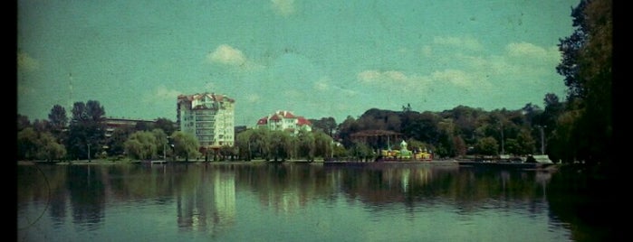 Міське озеро / City lake is one of Обов’язково відвідати у Франківську.