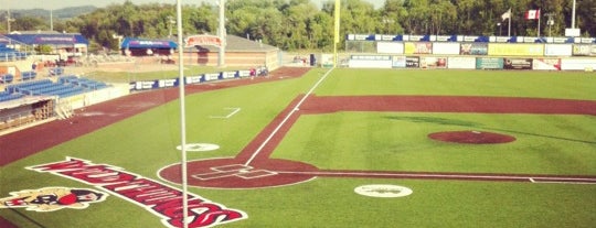 Wild Things Park is one of Baseball in Pennsylvania.