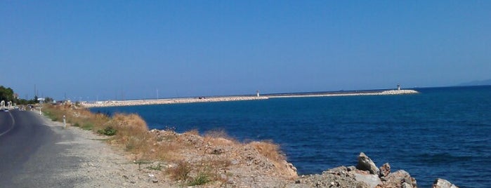 Murefte Liman is one of Tempat yang Disukai Özgür.