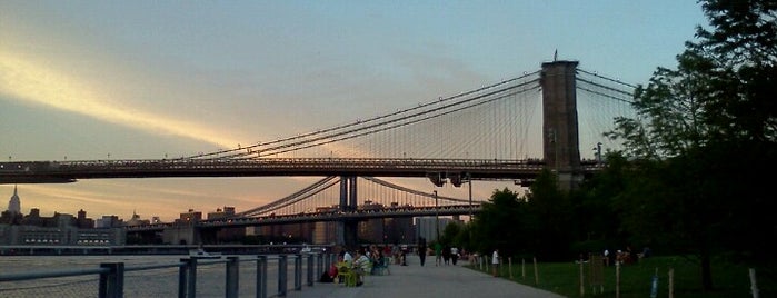 Brooklyn Bridge Park - Pier 1 is one of Best Water Activities in and around New York City.
