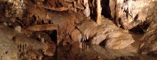 Le Domaine des Grottes de Han is one of Tips voor Trips met Kinderen.