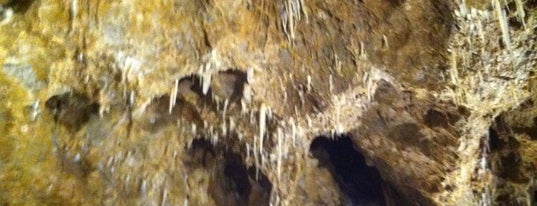 Grotte de Dinant - La Merveilleuse is one of Uitstap idee.