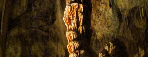 Carlsbad Caverns National Park is one of Tour Caves.