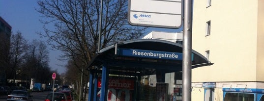 H Riesenburgstraße is one of Bushaltestellen München (Ne - Sk).