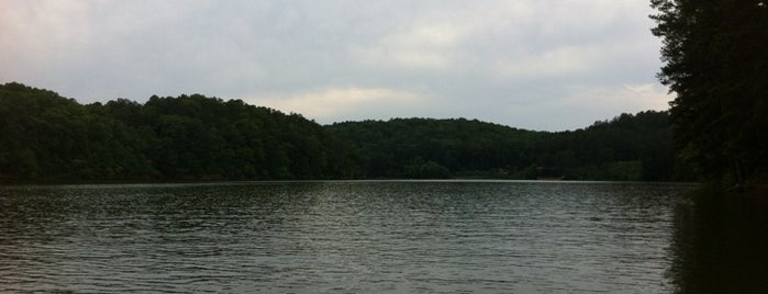 Lake Alatoona Victoria Park is one of Locais curtidos por Chester.