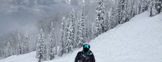 Fernie Alpine Resort is one of The Best Skiing in the World.