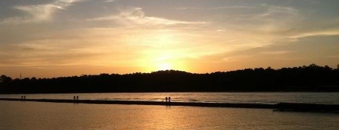 Lake Allatoona is one of สถานที่ที่บันทึกไว้ของ Carl.