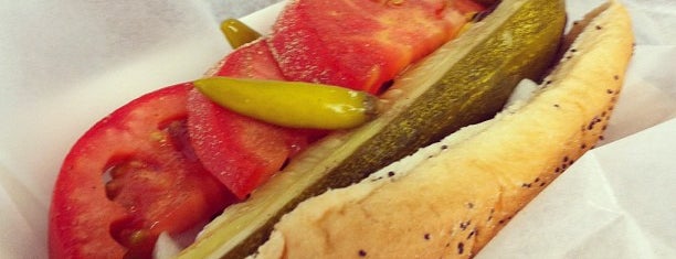 10 Outrageous Chicago Hot Dogs