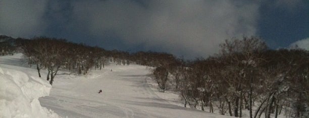 ニセコアンヌプリ国際スキー場 is one of The Best Skiing in the World.