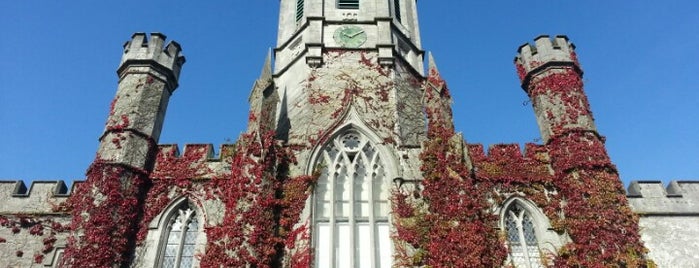 National University of Ireland, Galway (NUI Galway) is one of Galway, Doolin, & the Aran Islands.