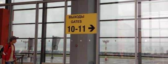 Выход 11 / Gate 11 (C) is one of SVO Airport Facilities.