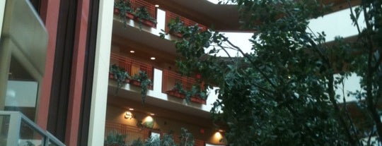 Embassy Suites Lobby Bar is one of the funnest things.