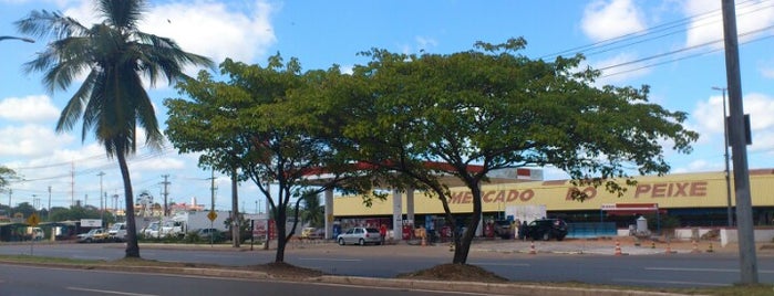 Mercado do Peixe is one of Lugares favoritos de Mario.