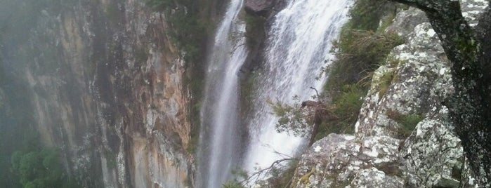 Minyon Falls is one of Tempat yang Disukai Dmitry.