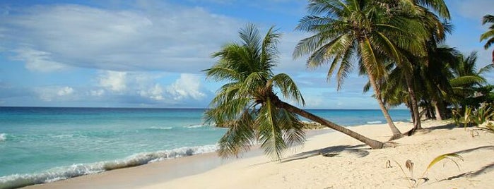 White Sands Beach is one of Barbados south coast beaches.