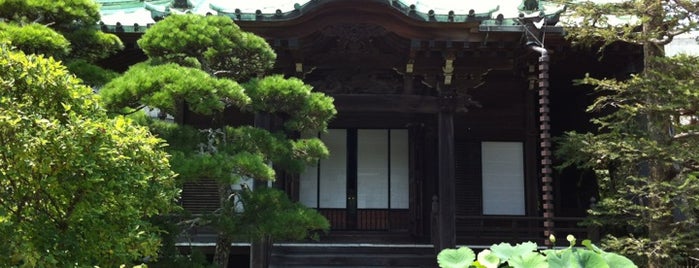 大巧寺 is one of 鎌倉.