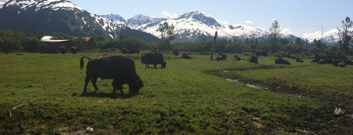 Alaska Wildlife Conservation Center is one of Chuck Approved! - Places.