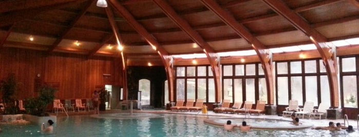 Malalcahuello Thermal Resort & Spa is one of Marco : понравившиеся места.