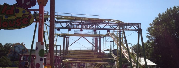 Wild Mouse is one of ROLLER COASTERS 2.