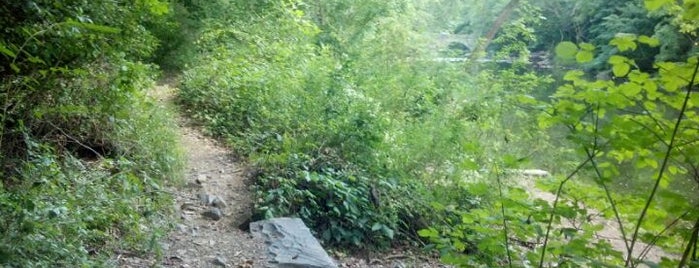 Wissahickon Valley Park is one of Exciting Adventures in the Philly Area.
