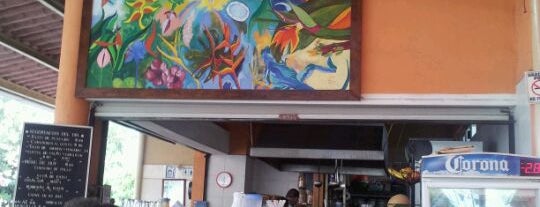 Camino del Mar is one of restaurantes manzanillo.