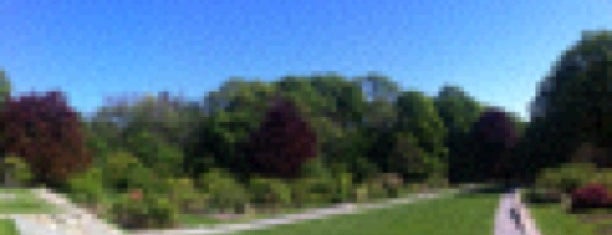 Arnold Arboretum is one of Nearby Neighborhoods: Jamaica Plain.