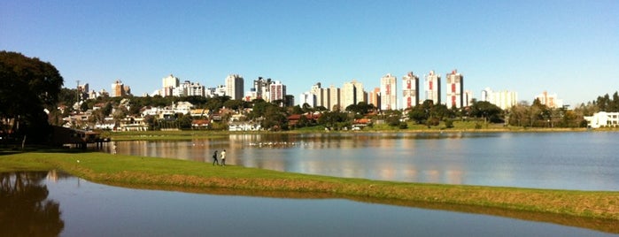 Curitiba legal