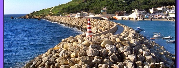 Gozo Ferry Terminal is one of Lugares favoritos de Devaki.