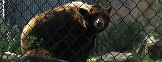 Orange County Zoo is one of Los Angeles Area Animal Attractions.