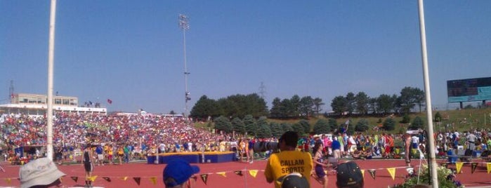 State Track is one of Regular Places.