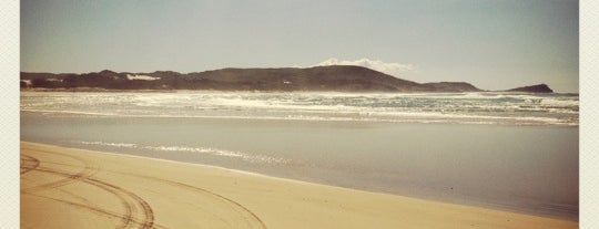 Fraser Island is one of UNESCO World Heritage Sites (Oceania).