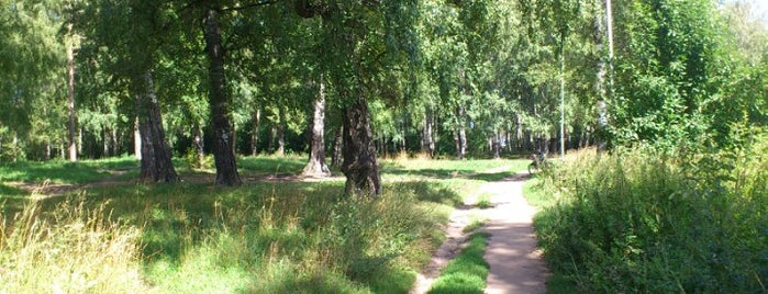 Козий Парк is one of Locais curtidos por AE.
